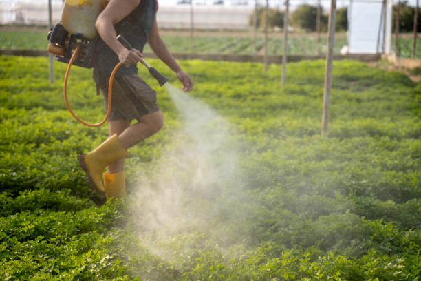 Pest Control Cost in Tiger Point, FL